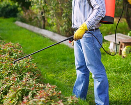 How often should bakersfield homes schedule general pest control service