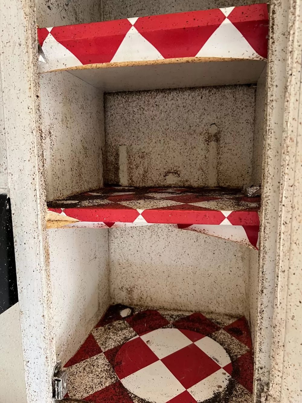 Whats hiding in your kitchen that could be attracting cockroaches